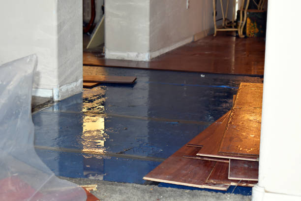 Professional Sewage Cleanup technician working in Unionville, MI